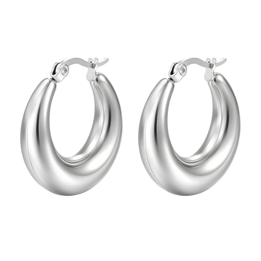 Stainless steel earrings.