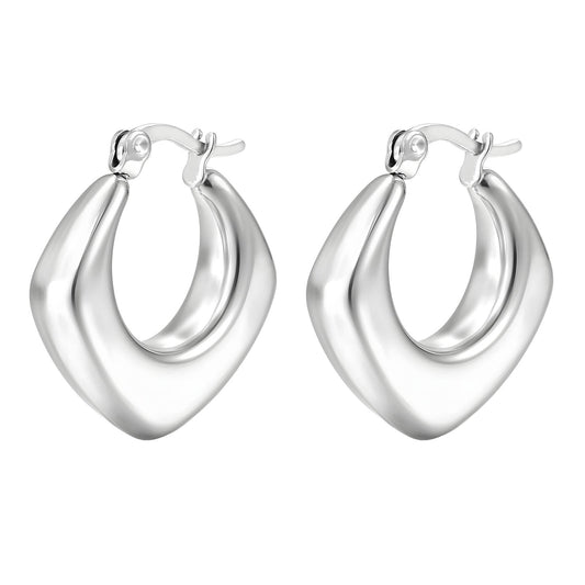 18K gold plated Stainless steel earrings.